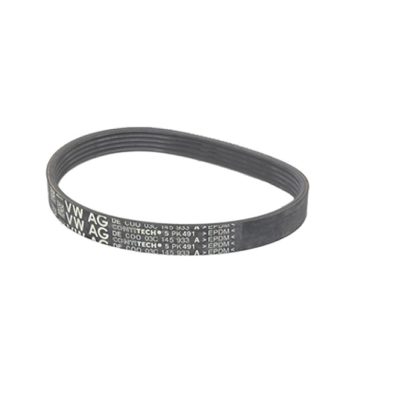 V-Ribbed Belt VW Group 5PK491