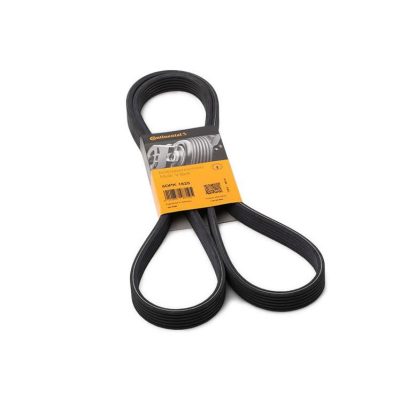 6DPK1825 V-Ribbed Belt, CONTITECH