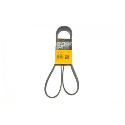 V-Ribbed Belt CONTITECH 6PK1600