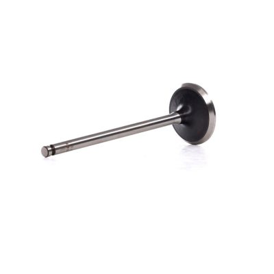 Intake Valves Peugeot 9676359080