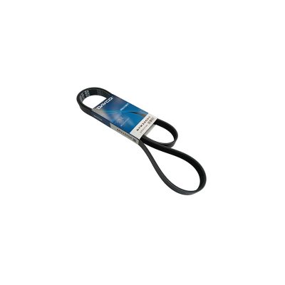 FORD / VOLVO V-Ribbed Belt DAYCO 6PK1555S