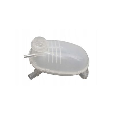Coolant Reservoir FORD Genuine GV618A080AD