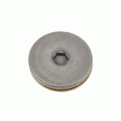 FORD, VOLVO Camshaft Plug 30640630
